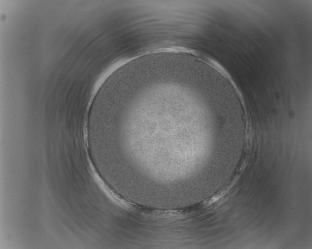 X0000056330811200508291250