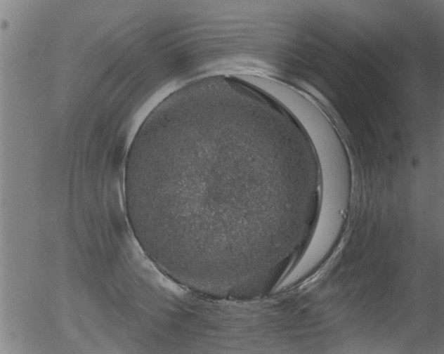 X0000056330812200508291250