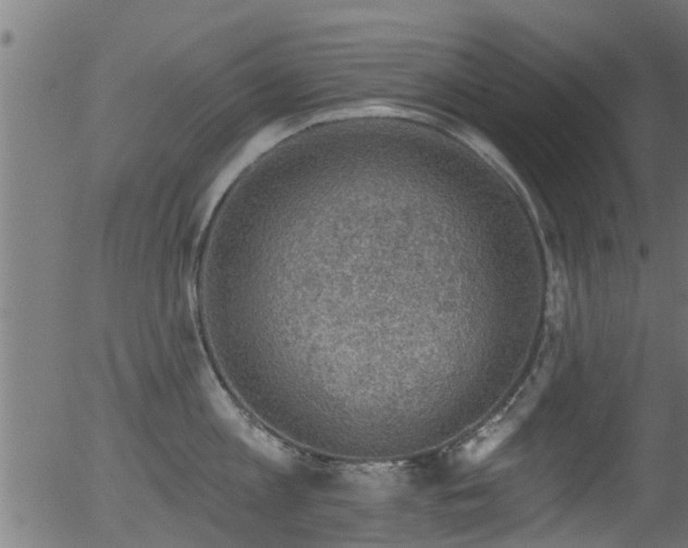 X0000056330813200508291250