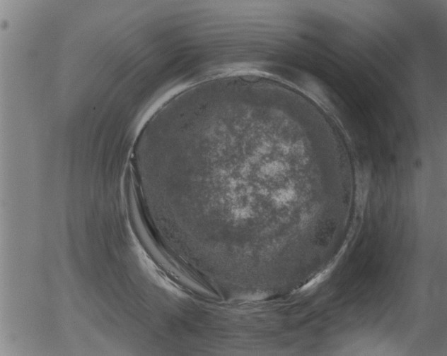 X0000056330814200508291250