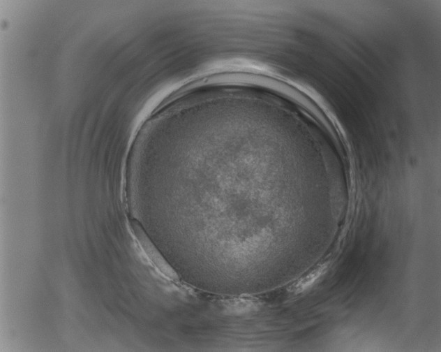 X0000056330815200508291250