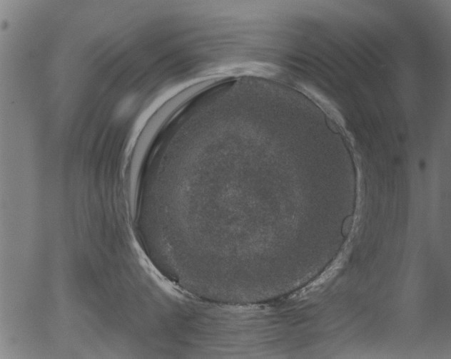 X0000056330816200508291250