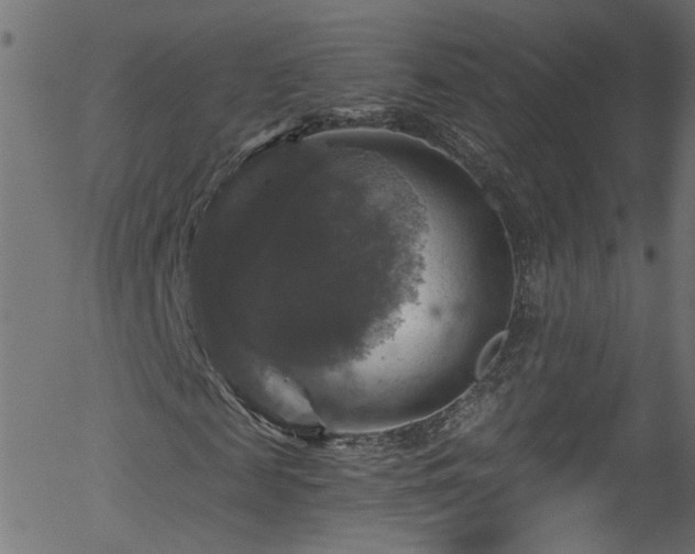 X0000056330817200508291249