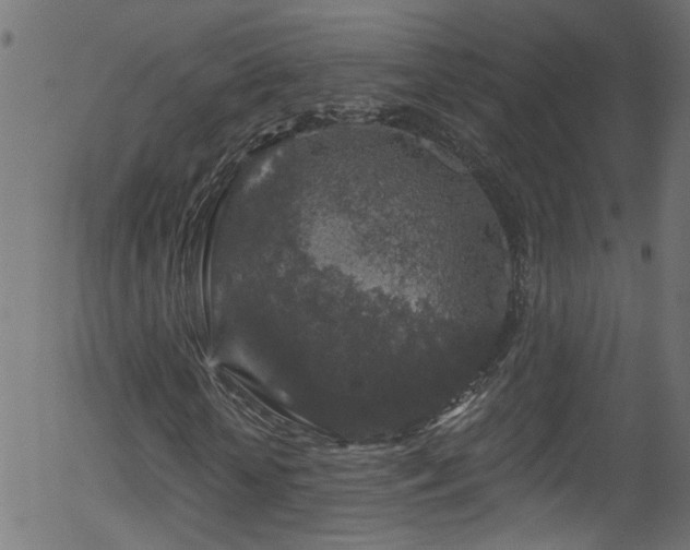 X0000056330818200508291249