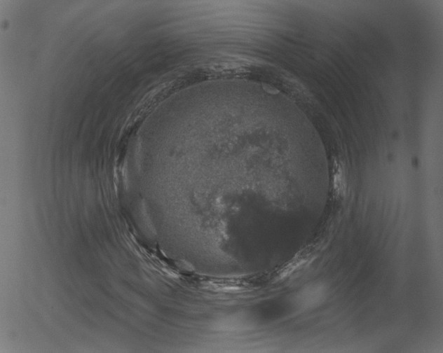 X0000056330819200508291249