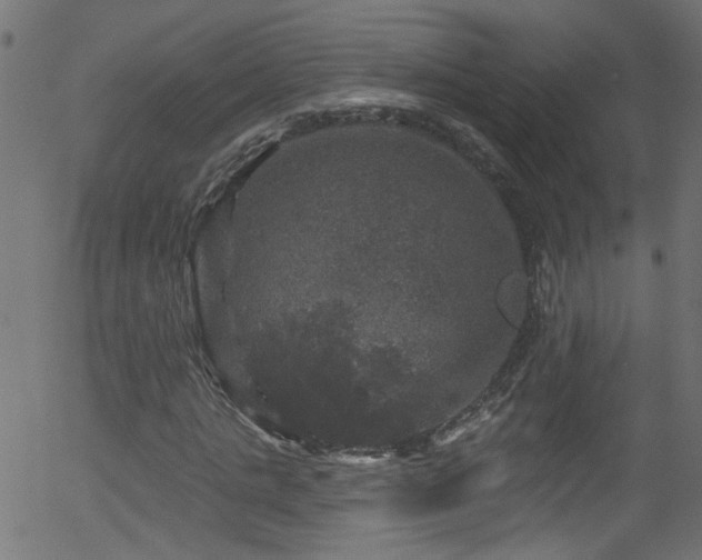 X0000056330821200508291250