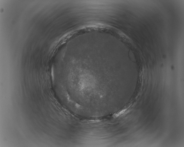 X0000056330822200508291250