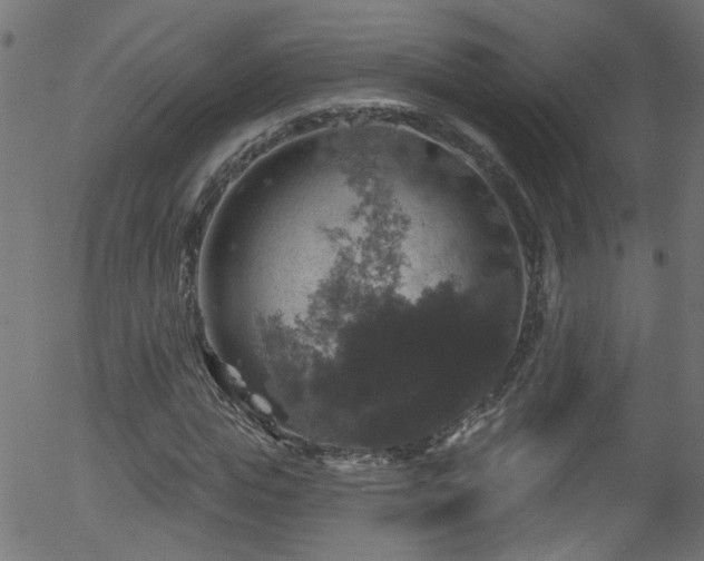 X0000056330823200508291250