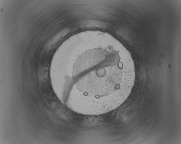 X0000056330824200508291250