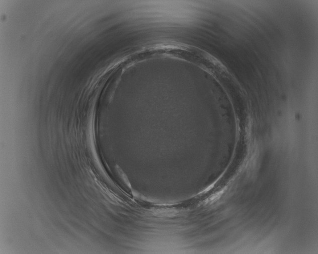 X0000056330825200508291250