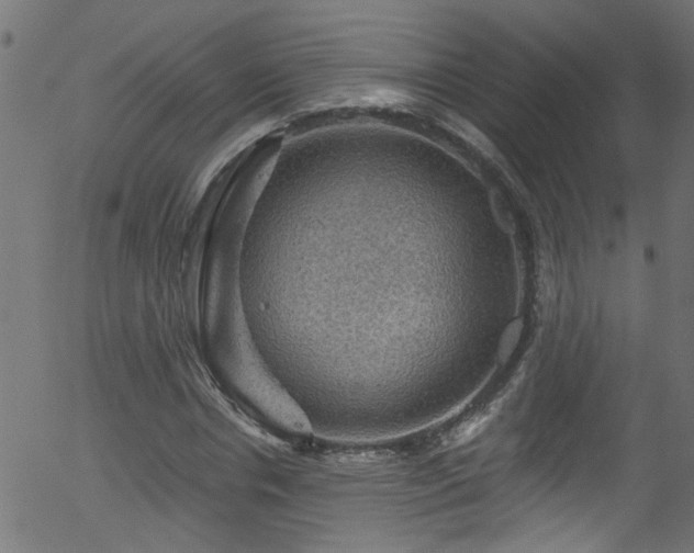 X0000056330826200508291250