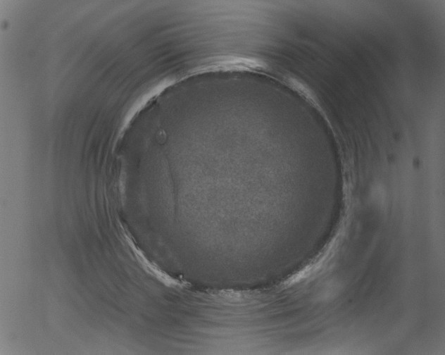 X0000056330827200508291250