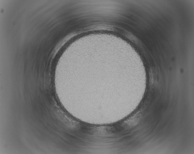 X0000056330828200508291250