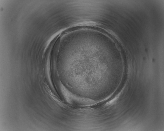 X0000056330830200508291250