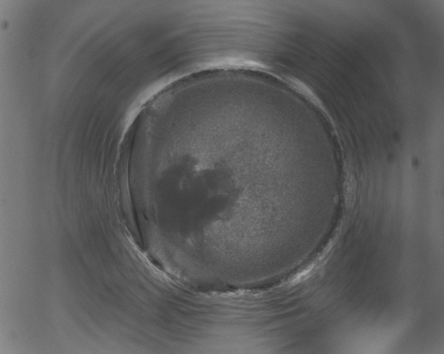 X0000056330831200508291250