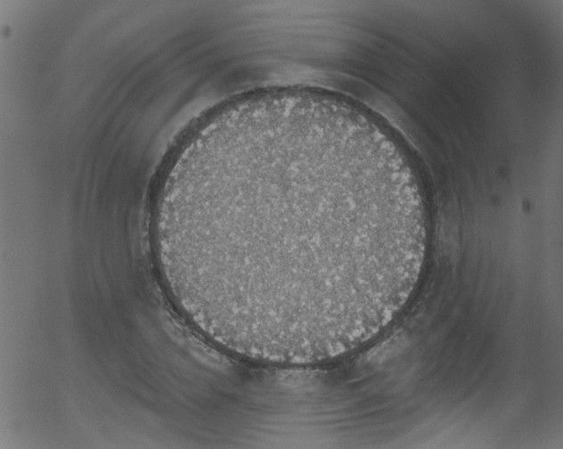 X0000056330832200508291250