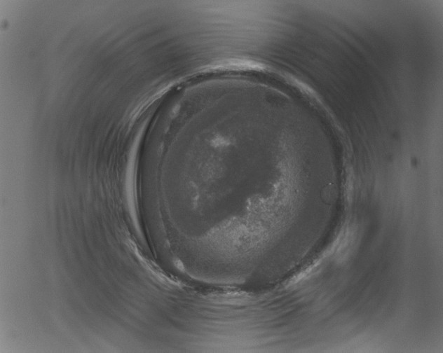 X0000056330833200508291250