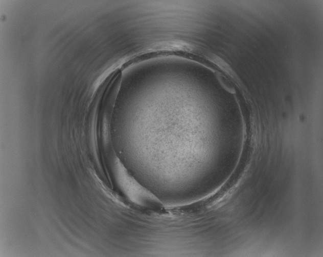 X0000056330834200508291250