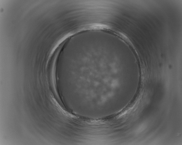 X0000056330835200508291250