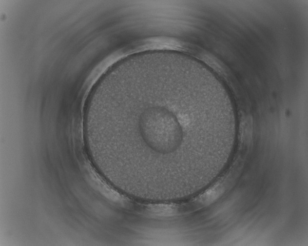 X0000056330836200508291250