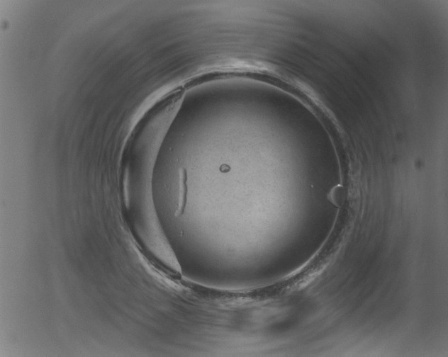 X0000056330837200508291250