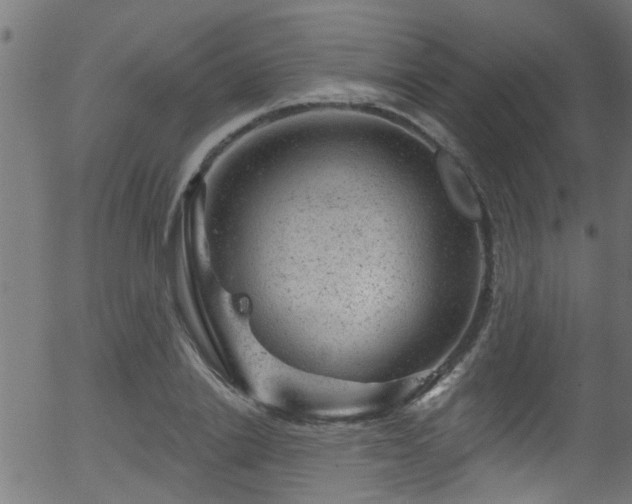 X0000056330838200508291250