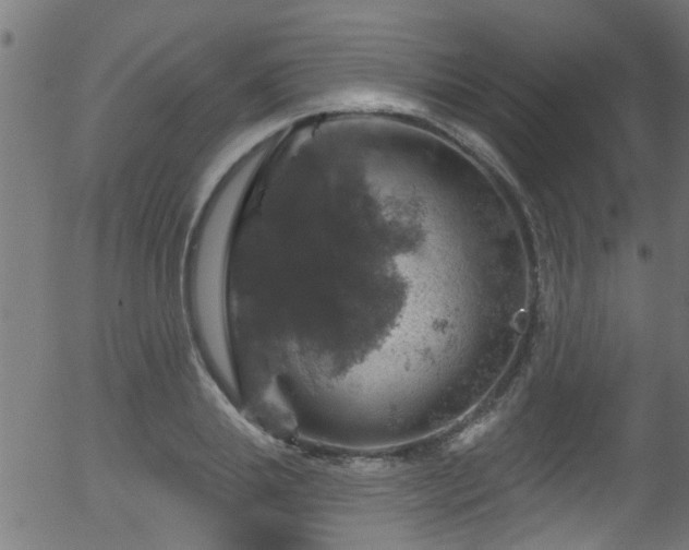 X0000056330839200508291250