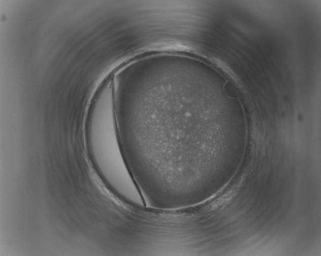 X0000056330840200508291250