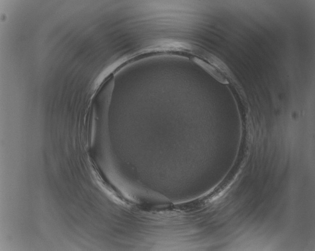 X0000056330842200508291250