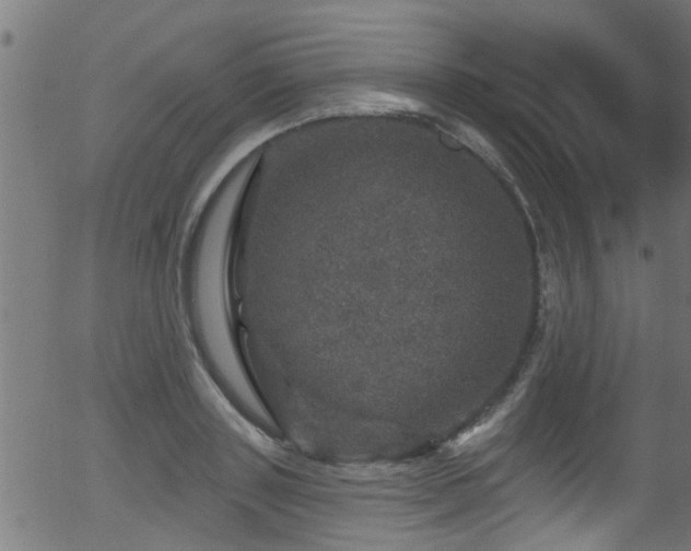 X0000056330843200508291250