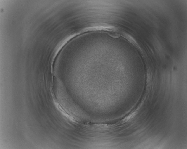 X0000056330844200508291250