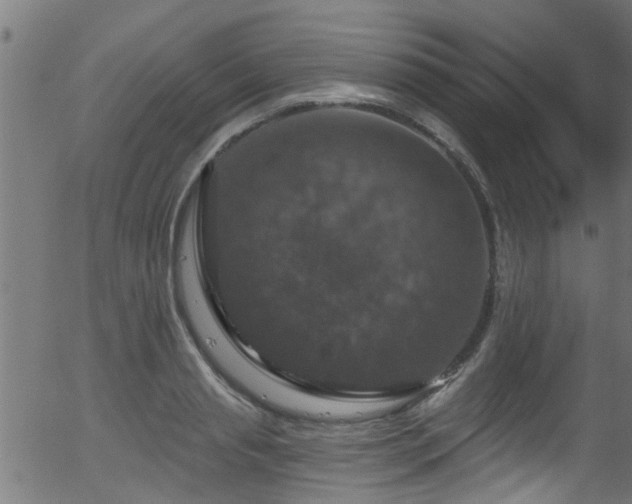 X0000056330845200508291250