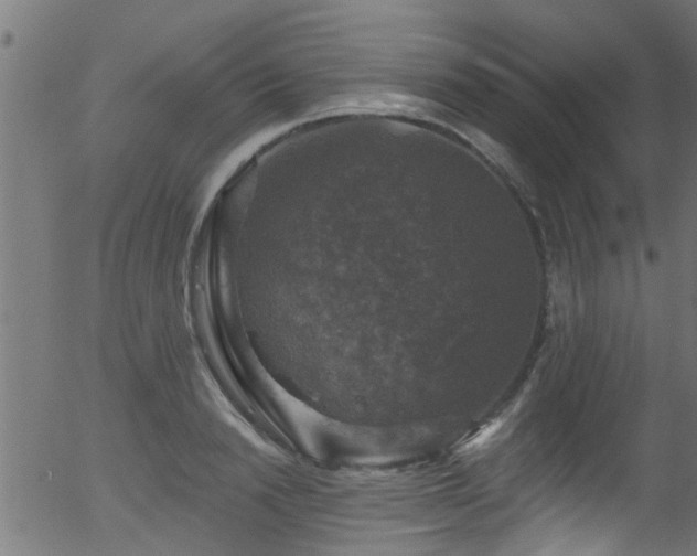 X0000056330846200508291250