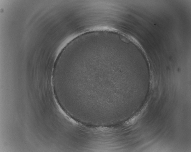 X0000056330847200508291250