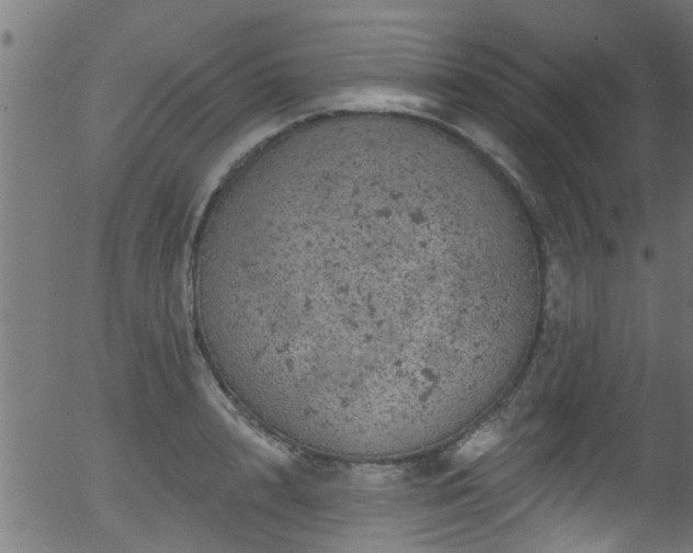 X0000056330848200508291250