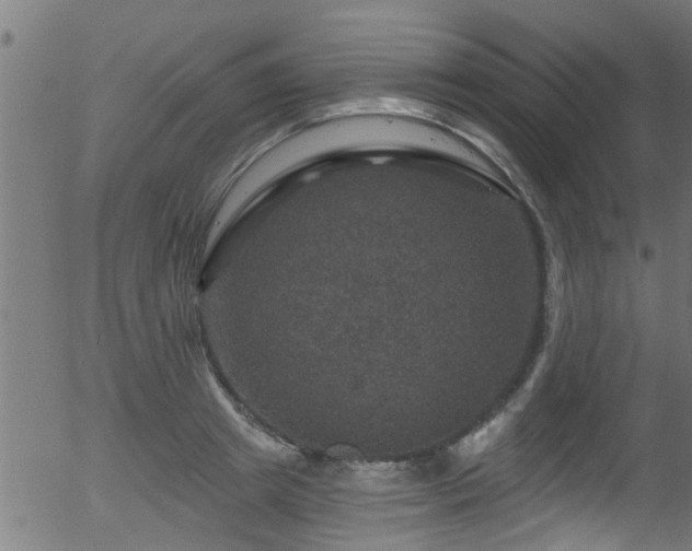 X0000056330849200508291250