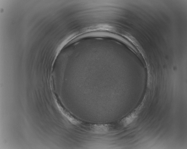 X0000056330850200508291250