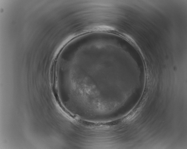 X0000056330851200508291250