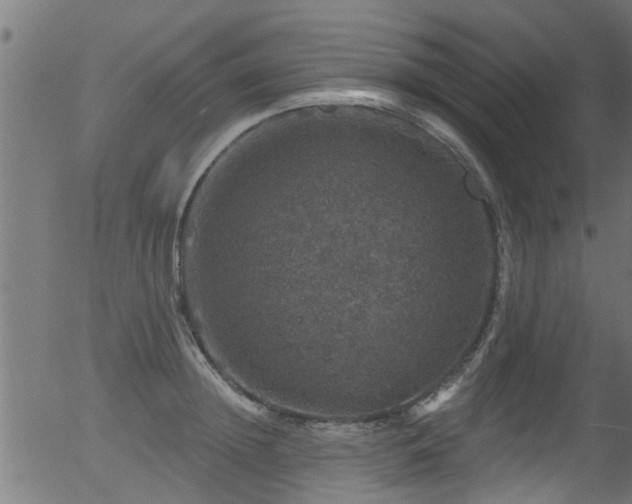 X0000056330852200508291250