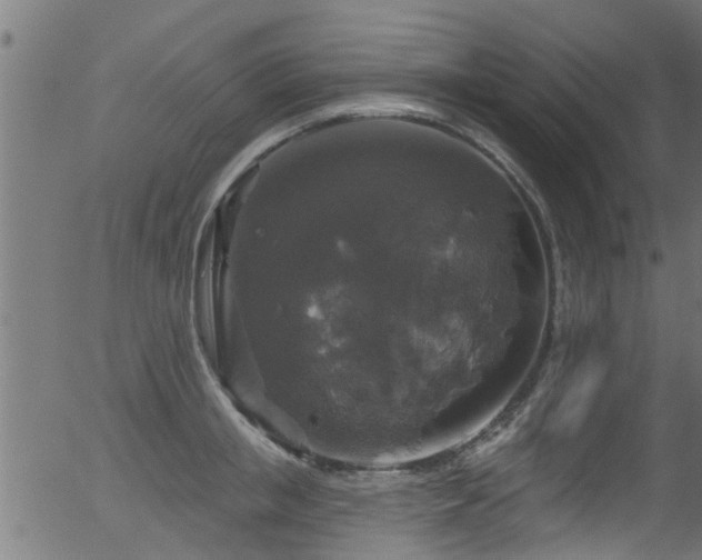 X0000056330853200508291250