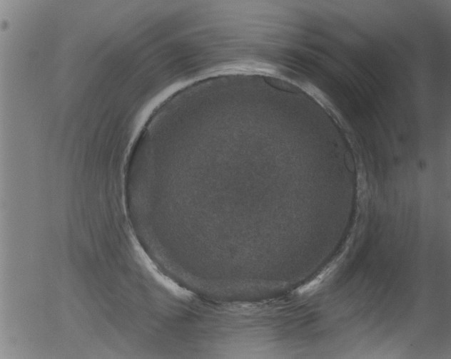 X0000056330854200508291250