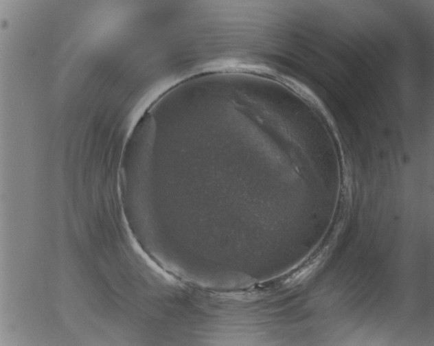 X0000056330855200508291250