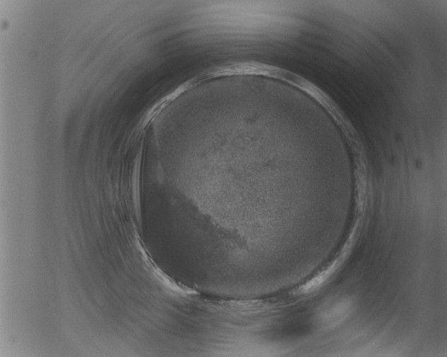 X0000056330857200508291250