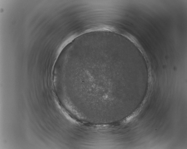 X0000056330858200508291250