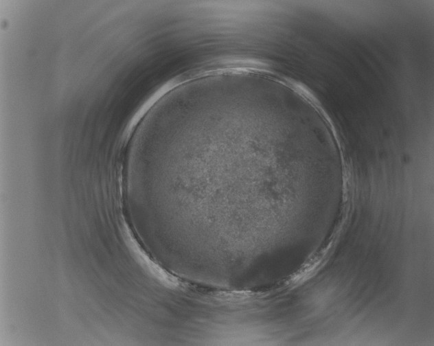 X0000056330859200508291250