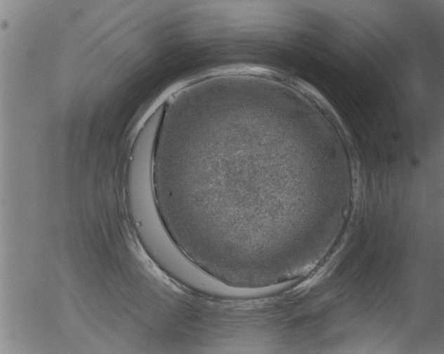 X0000056330860200508291250