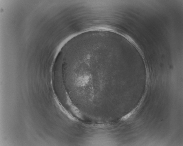 X0000056330862200508291250