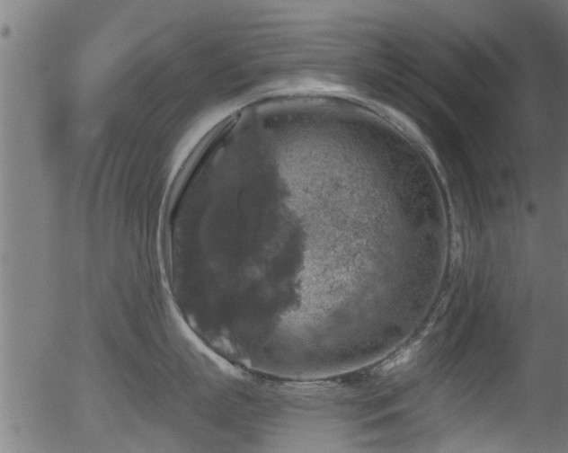 X0000056330863200508291250