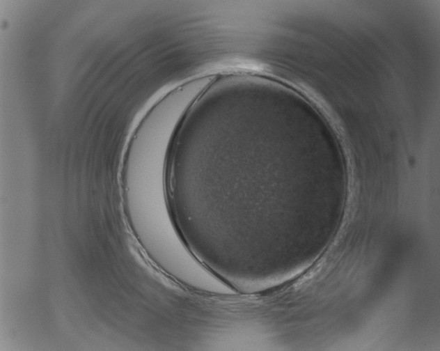 X0000056330864200508291250