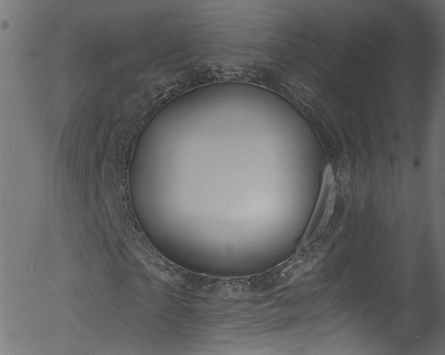 X0000056330865200508291249